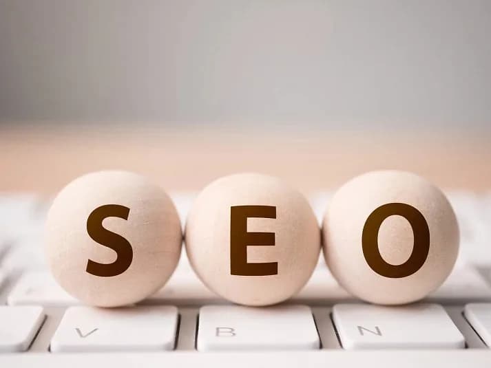 Les lettres SEO sur des cubes en bois devant une plante